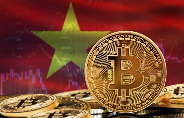 Investors in cryptocurrency and Blockchain Technology in Vietnam, Concept. Bitcoin with Vietnam