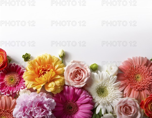 Beautiful arrangement of multiple vibrant wildflowers laid on a clean white surface, perfect for
