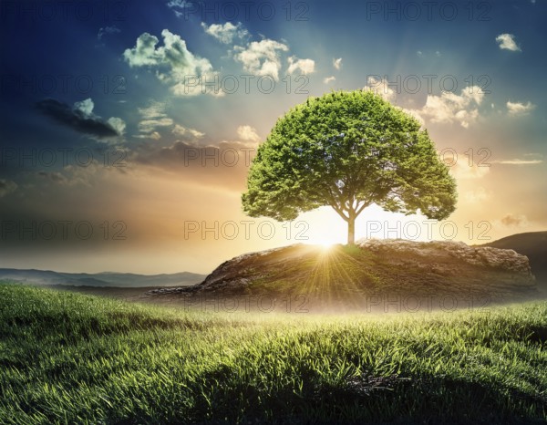 Ecology and Environment concept. Environment Earth Day In the hands of trees growing seedlings,
