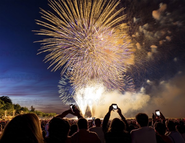 Thrilling fireworks illuminate the dark sky as a crowd gathers to enjoy the dazzling display,