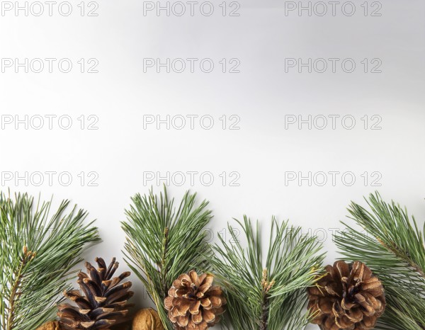 Holiday-themed flat lay with evergreen pine branches and pine cones, evoking a minimalist and