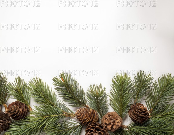 Holiday-themed flat lay with evergreen pine branches and pine cones, evoking a minimalist and