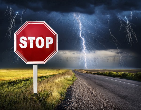 A scenic rural road features a bold red stop sign contrasted against overcast skies and farmlands,