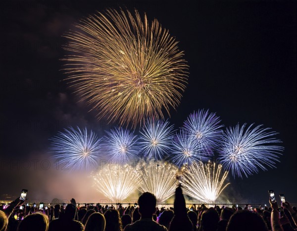 Thrilling fireworks illuminate the dark sky as a crowd gathers to enjoy the dazzling display,