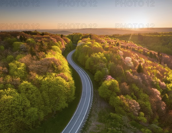A scenic aerial view of a serpentine road surrounded by lush green forest, illuminated by soft
