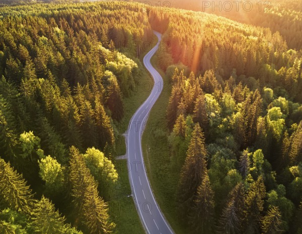 A scenic aerial view of a serpentine road surrounded by lush green forest, illuminated by soft