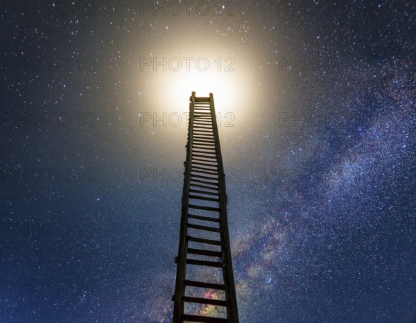 A ladder extends toward the glowing full moon against a starry night sky, evoking dreams and