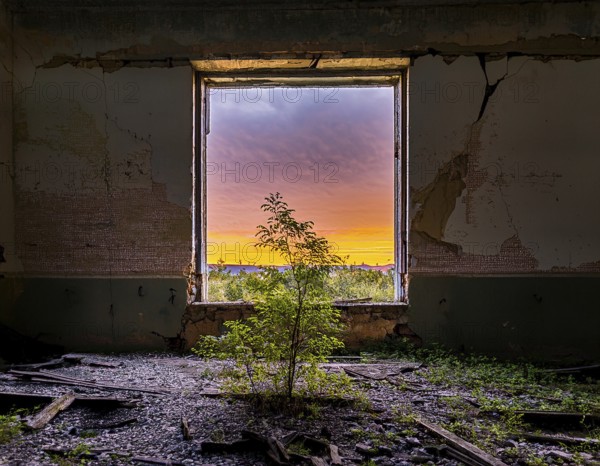 An abandoned building reveals a stunning view of a colorful sunset through a decayed window,