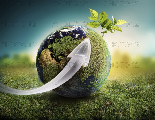 Ecology and Environment concept. Environment Earth Day In the hands of trees growing seedlings,