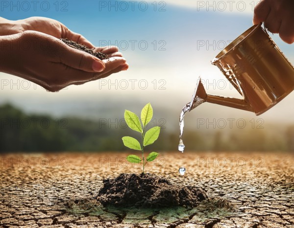 A close-up of hands nurturing a young plant by pouring water, symbolizing hope, growth, and
