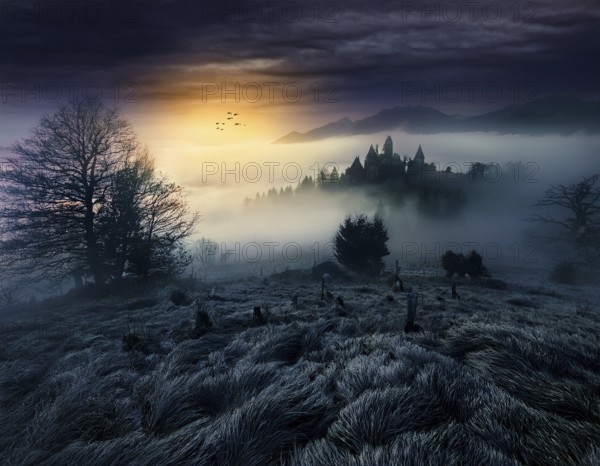 Mysterious dark misty forest dark magical forest night scary panorama halloween landscape, AI