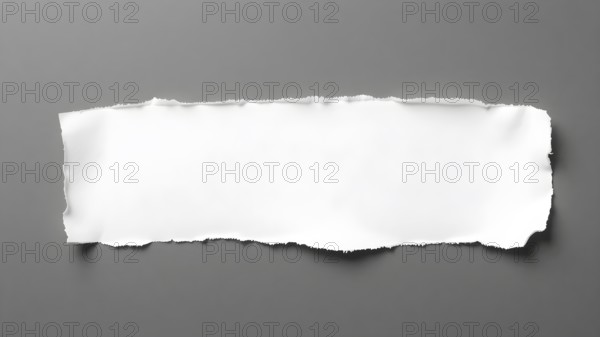 A beautifully textured torn piece of paper on a clean background, highlighting simplicity and