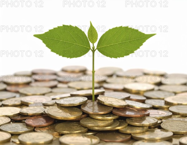 Coins with seedling eco saving concept image symbolizing financial growth, sustainable development,