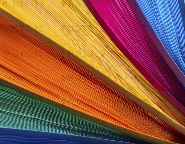 Multi color background bursting with vivid tones, artistic expression, and modern abstract design