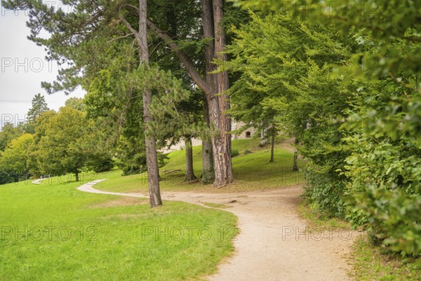 Winding path through a green park landscape with tall trees, Lichtenstein Castle, Lichtenstein,
