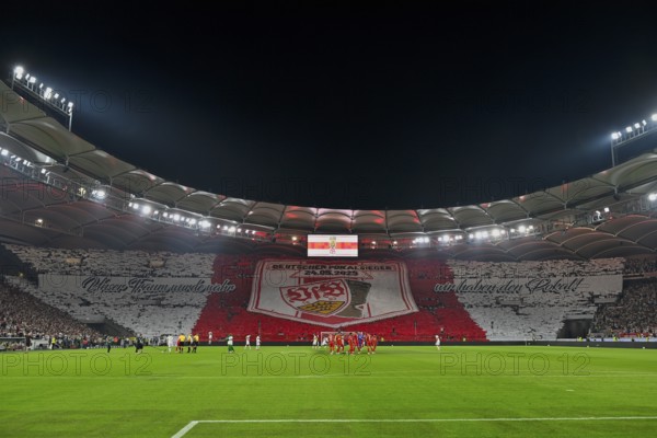 Choreo, choreography, fan campaign German Cup Winner VfB Stuttgart, Football Bundesliga, MHPArena,