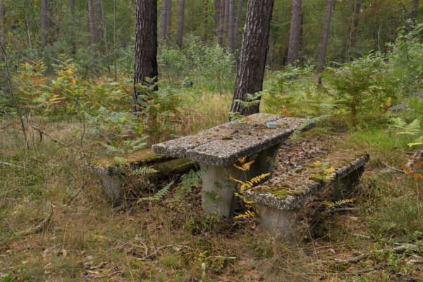 Photograph of a weathered seating area or resting place made of exposed aggregate concrete standing