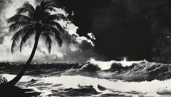 Vintage Music Poster: Monochrome Rockstar Coconut Palm Tree Wave Ocean Board Surf Summer In