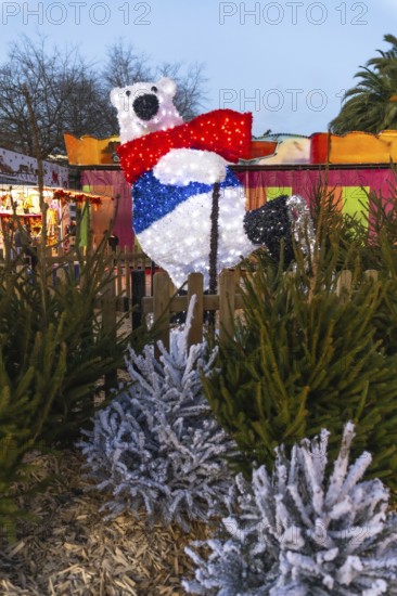 Illuminated polar bear with red scarf and blue vest ice skating at a christmas market in bayonne,