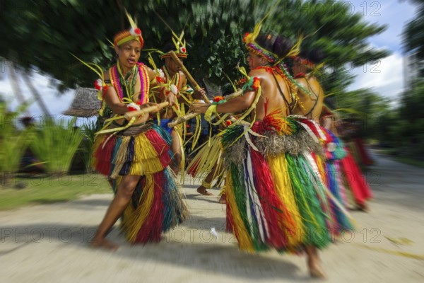Traditional group of dancers from Yap Island dancing in historical traditional dress traditional