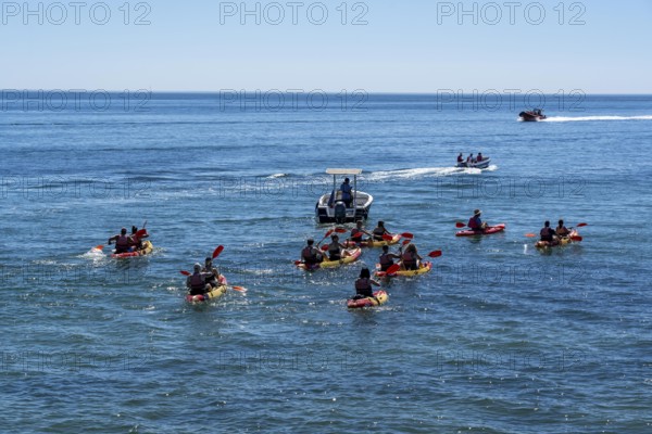 Kayak tours to the rocky coast of Ponta da Piedade, groups of tourists kayak on the sea to the