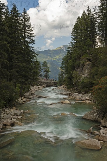 River ache in front of the Krimml waterfall, highest waterfall in Europe, Hohe Tauern National