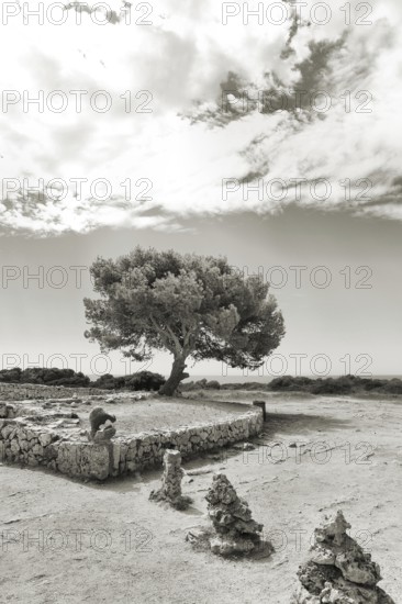 A solitary pine tree stands in a rocky landscape under an expansive sky in a monochrome painting,