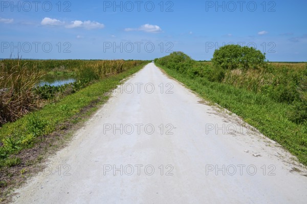 Straight, white gravel path between green vegetation under a clear blue sky, Lake Apopka North