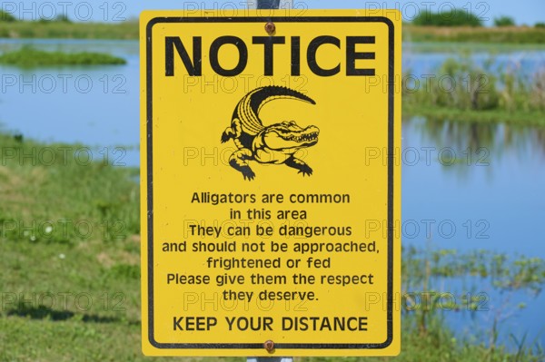Warning sign about alligators in nature, yellow sign with text and illustration of an alligator,