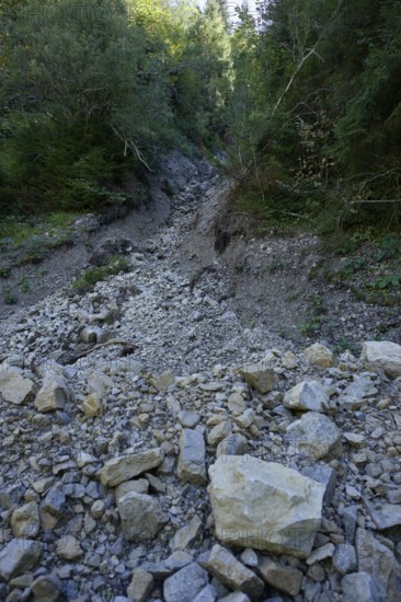 Mudslide in the Graswang valley, mudslide, Graswang, Oberammergau, Ammergau, Ammergau Alps, Upper