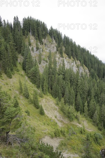 Ammergau Alps, Laber, hiking, mountain hiking, Ammergau, Oberammergau, mountains, Alps, Bavaria,