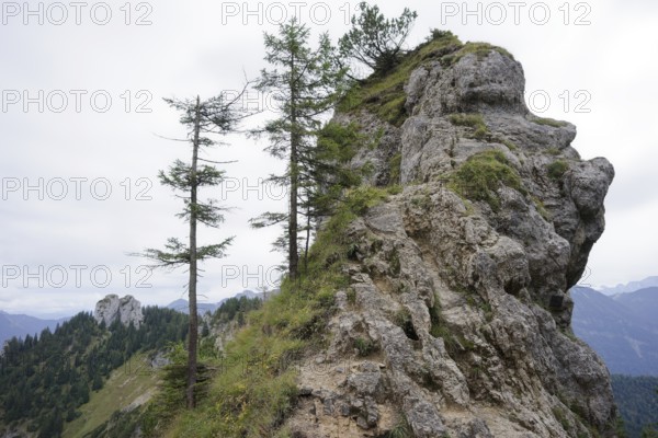 Ammergau Alps, Laber, hiking, mountain hiking, Ammergau, Oberammergau, mountains, Alps, Bavaria,