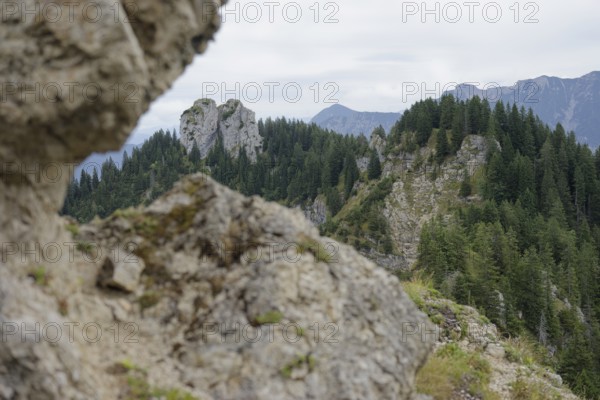 Mountain panorama seen from the Laber, Ammergau Alps, Ammergau, Oberammergau, mountains, Alps,