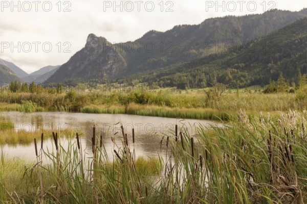 Pulvermoos between Oberammergau and Unterammergau with a view of Kofel, mountain hiking, hiking,