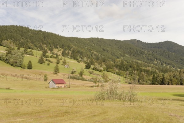 Pulvermoos between Oberammergau and Unterammergau, mountain hiking, hiking, moss, wetland biotope,