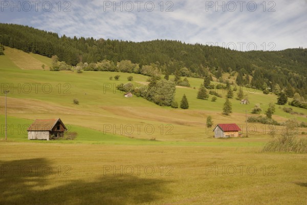 Pulvermoos between Oberammergau and Unterammergau, mountain hiking, hiking, moss, wetland biotope,