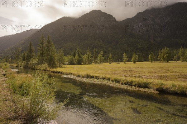 Ettaler Weidemoos, moss, wetland biotope, Oberammergau, Catholic, Ammergau, Ammergau Alps, Upper
