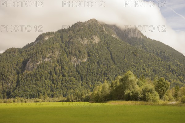 Ettaler Weidemoos, moss, wetland biotope, Oberammergau, Catholic, Ammergau, Ammergau Alps, Upper