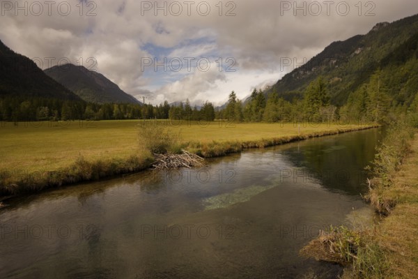 Ettaler Weidemoos, moss, wetland biotope, Oberammergau, Catholic, Ammergau, Ammergau Alps, Upper