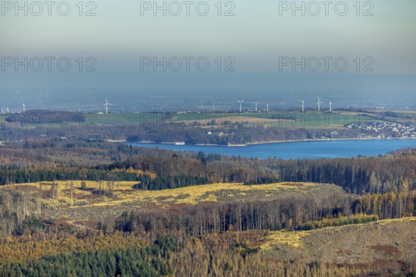 Aerial view, forest area with forest damage and view to the Möhnesee - Hevesee in the district