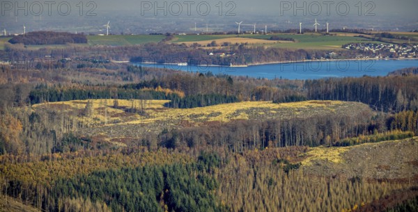 Aerial view, forest area with forest damage and view to the Möhnesee - Hevesee in the district