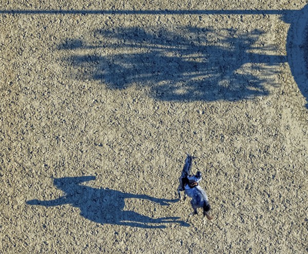 Aerial view, riding training at the riding centre Zucht-Reit und Fahrverein e.V. in the district