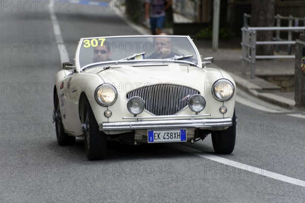 No. 307, Austin Healey 100 4 BN1, year of construction 1954, white convertible driving on a road