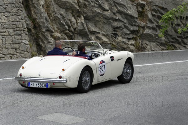 No. 307, Austin Healey 100 4 BN1, year of construction 1954, white retro convertible driving on a