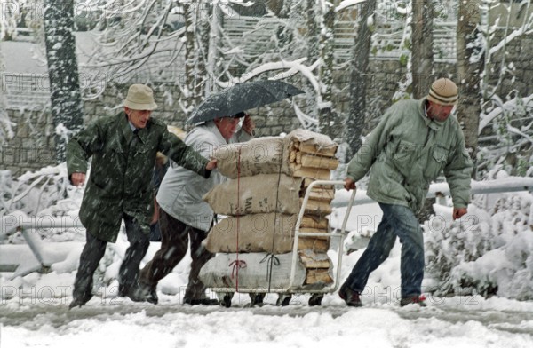 BIH, Bosnia, Sarajevo, 28.11.1993, People push a wagon with firewood through the snow