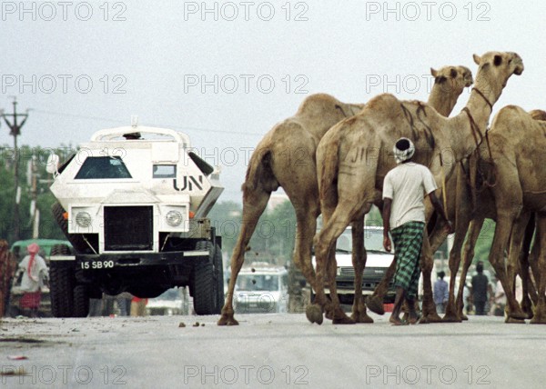 SOM, Mogadishu, 01.08.1993 -- A UN vehicle makes its way through a flock of camels on the roads of