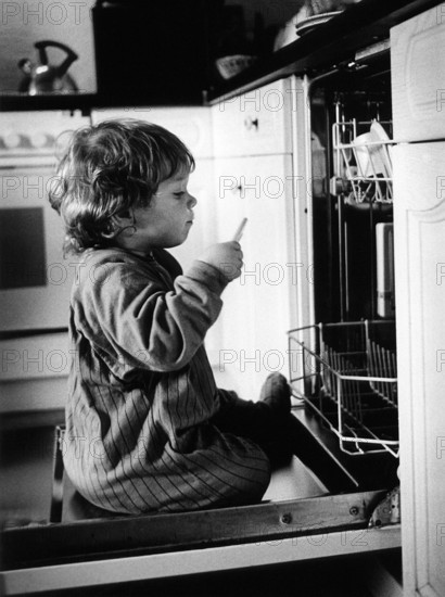 DEU, Meudt, 10.09.1999 -- From the series -- LINUS --- Linus on the dishwasher door. (dishwasher,