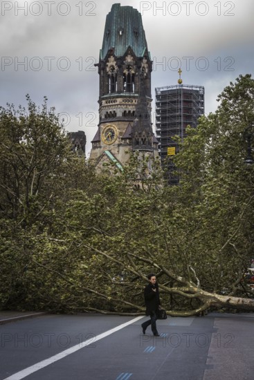 DEU Germany Germany Berlin Fire service on Kurfürstendamm. Storm Xavier had caused trees to fall