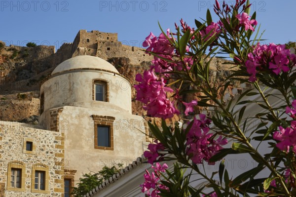 Monochrome church with dome in front of an old fortress, flowers in the foreground, Monemvasia,