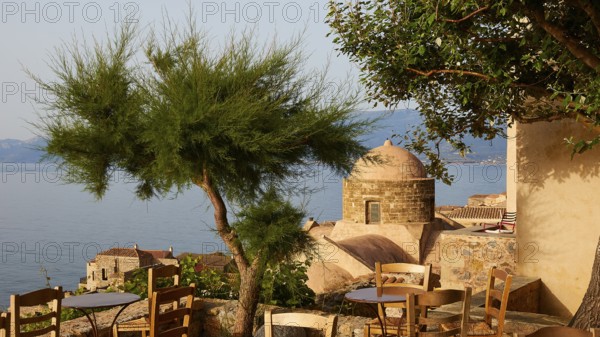 Soft morning light, fresh tree with Mediterranean vegetation and view of the sea from a terrace,